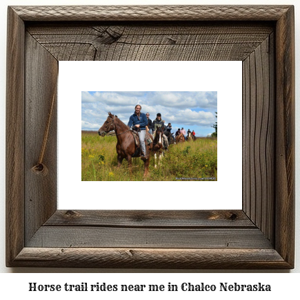 horse trail rides near me in Chalco, Nebraska